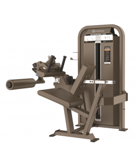 F-5023 SEATED LEG CURL